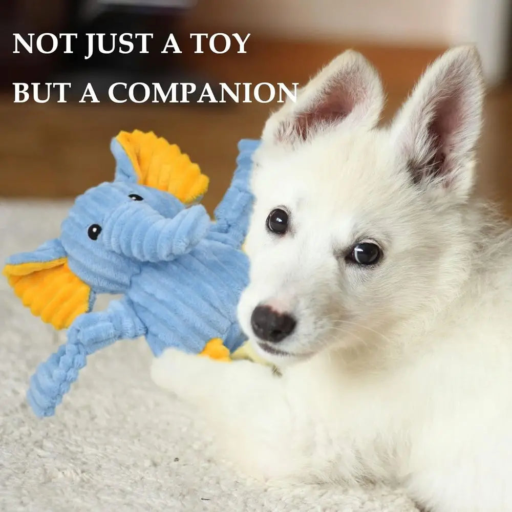 5 Pack Tough Squeaky Plush Dog Toys Assorted Bundle