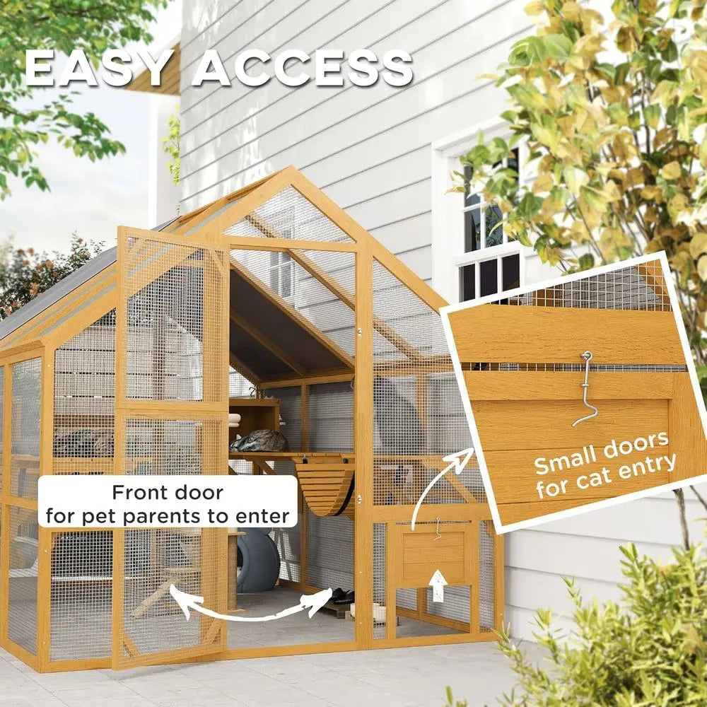 Outdoor Cat Enclosure For Multiple Cats With Walk In Access