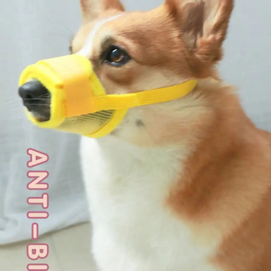 Adjustable Dog Muzzle With Breathable Mesh for All Dogs