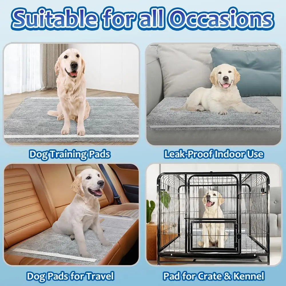 Dog Pee Pads ThirtyPack Potty Pads Absorbent Odor Control