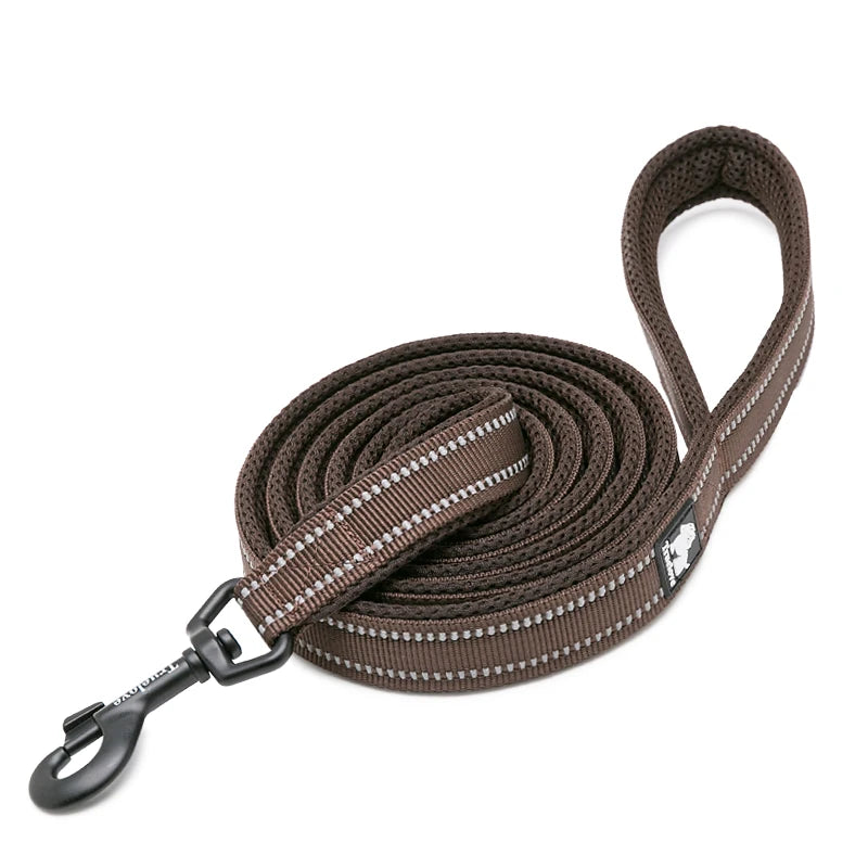 Winhyepet Padded Handle Reflective Dog Leash For Training