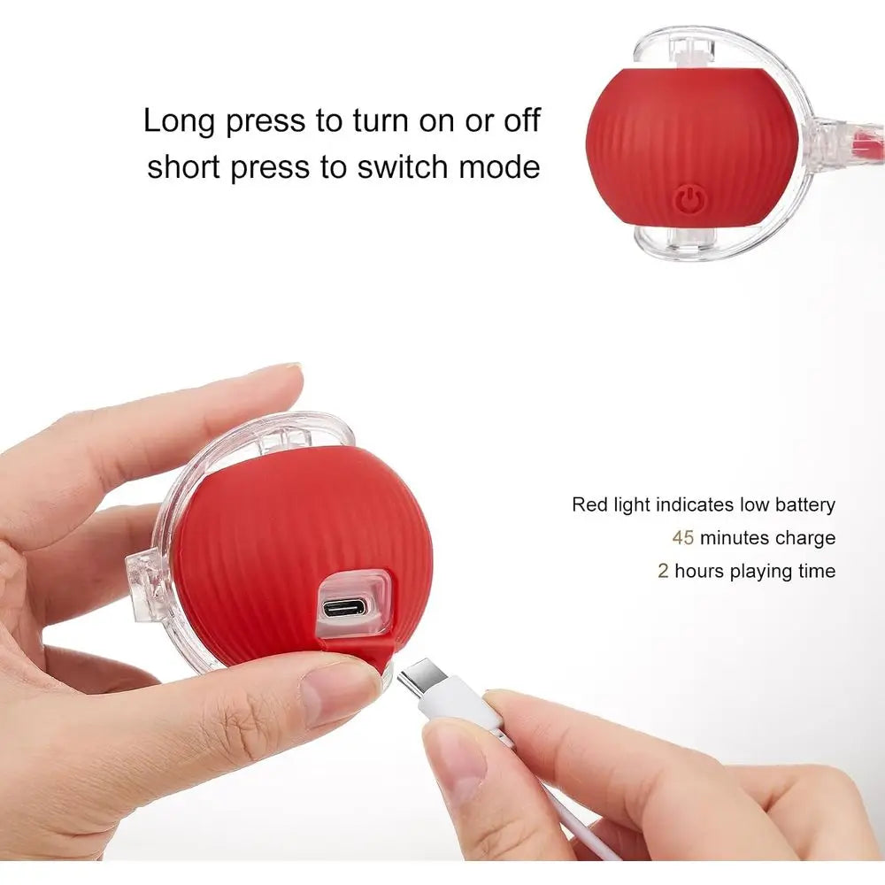 Interactive Pet Ball Toy For Dogs And Cats Rolling Ball