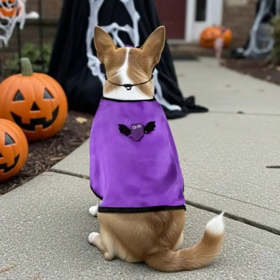 Pet Vampire Cloak Halloween Costume Cape With Bat Mask