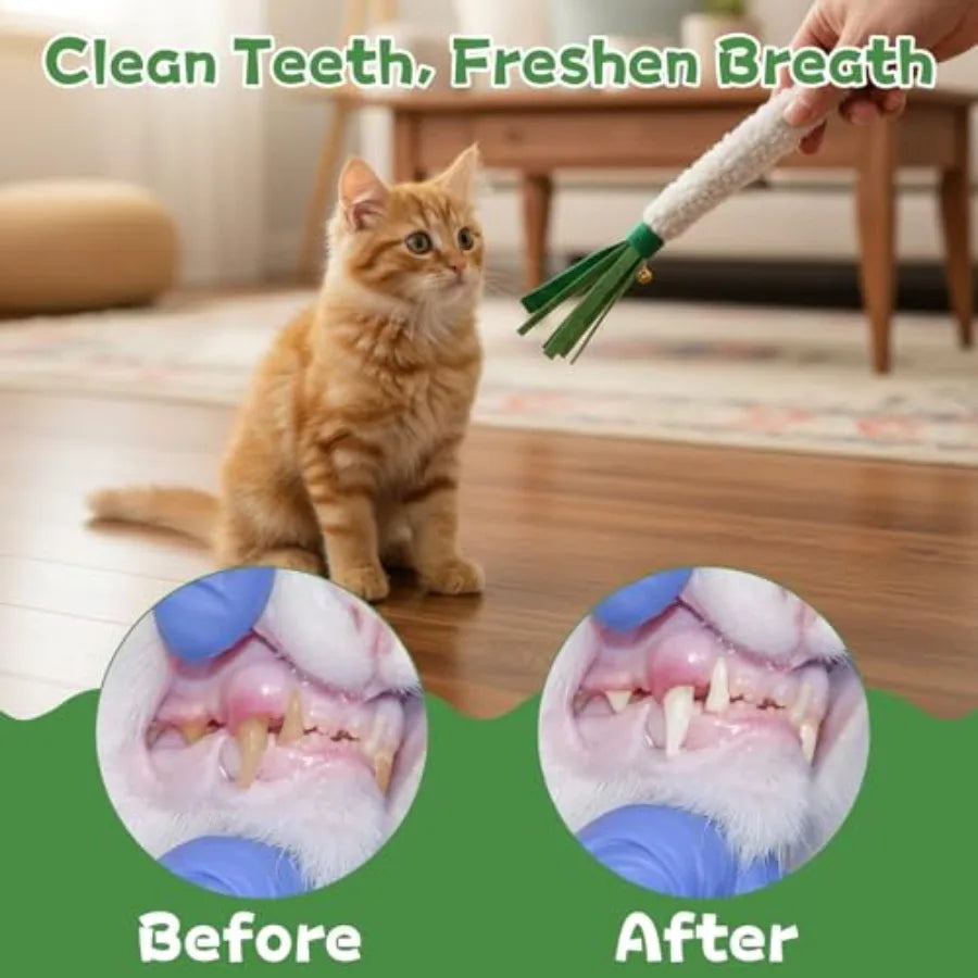 Wood Knotweed Felt Chew Sticks For Cat Dental Care 5 Pack