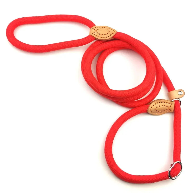Nylon Dog Leash Slip Rope Heavy Duty Braided Training Leash
