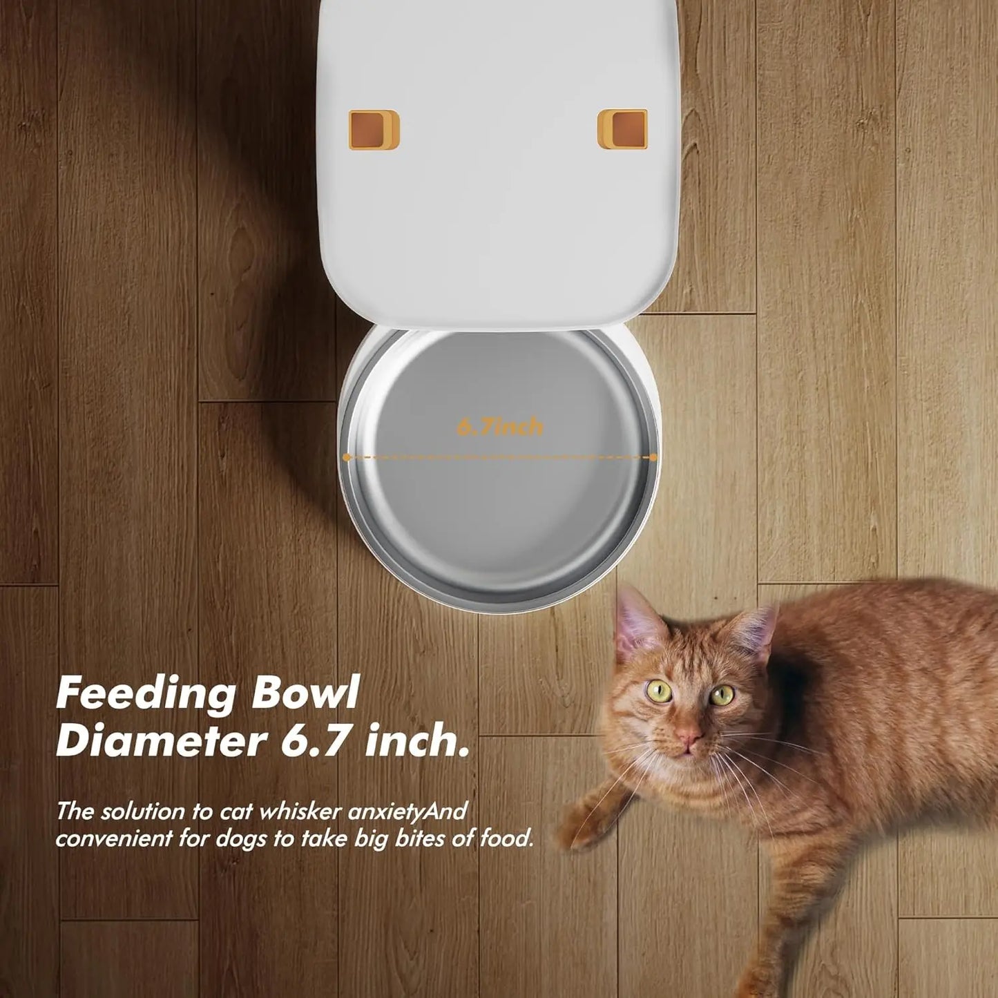 Nityers Automatic Cat Feeder Key Control And Voice Recorder