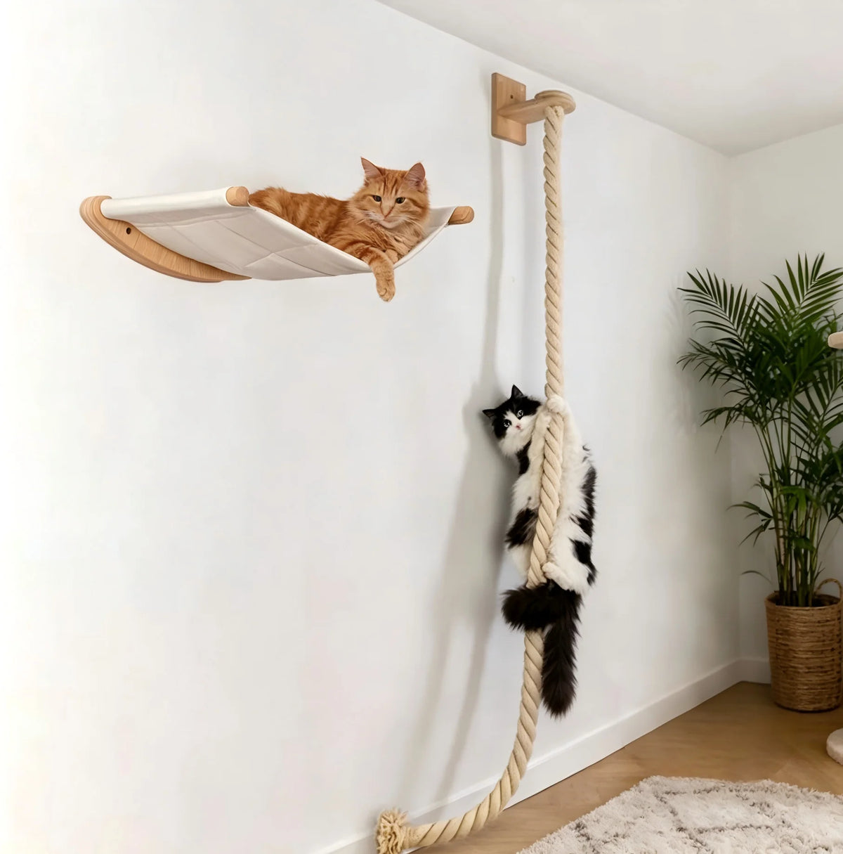 CWV Wall Mounted Cat Hammock With Sisal Scratching Perch