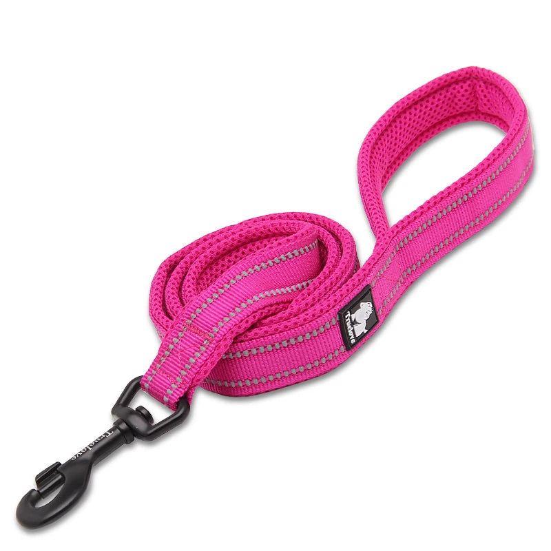 Winhyepet Padded-Handle Dog Leash for Training and Daily Walks