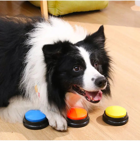 Recordable Dog Talking Button Toy For Portable Pet Communication
