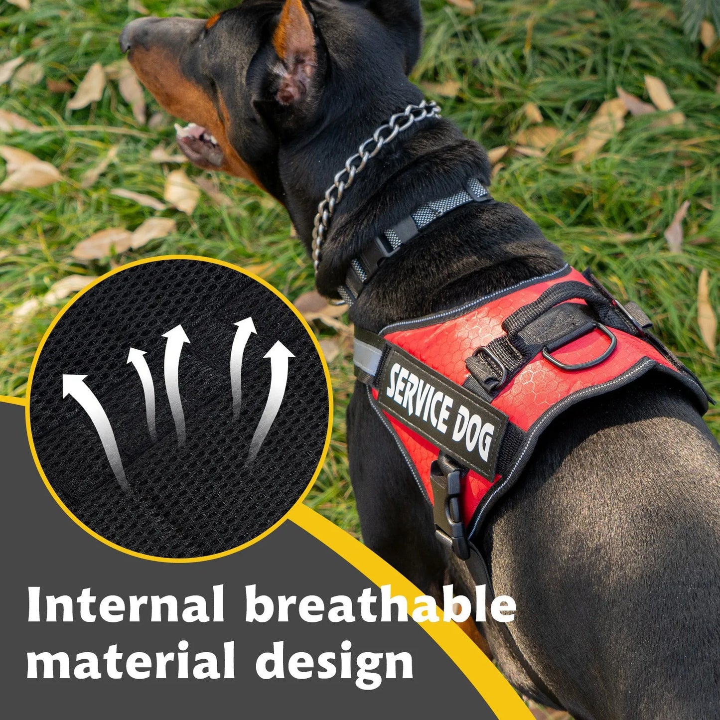 Chest Strap Dog Vest Harness With Quick Release For Border Collie