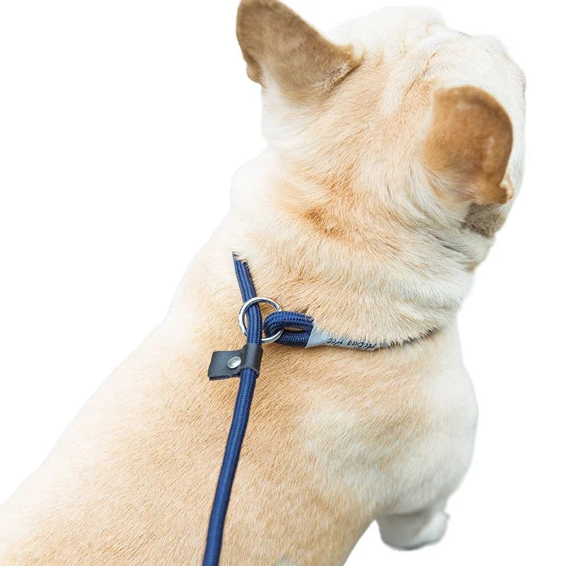 Nylon Dog Leash Slip Rope Heavy Duty Braided Training Leash