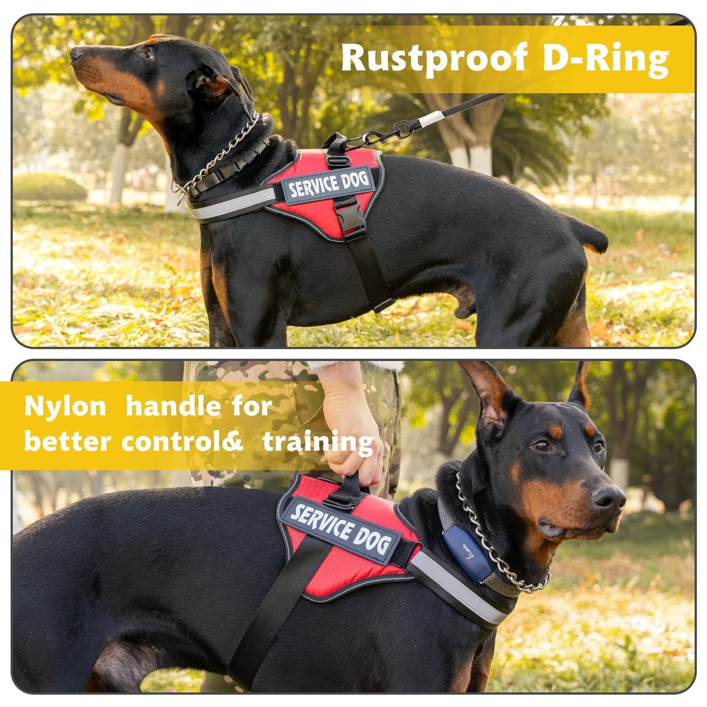 Chest Strap Dog Vest Harness With Quick Release For Border Collie
