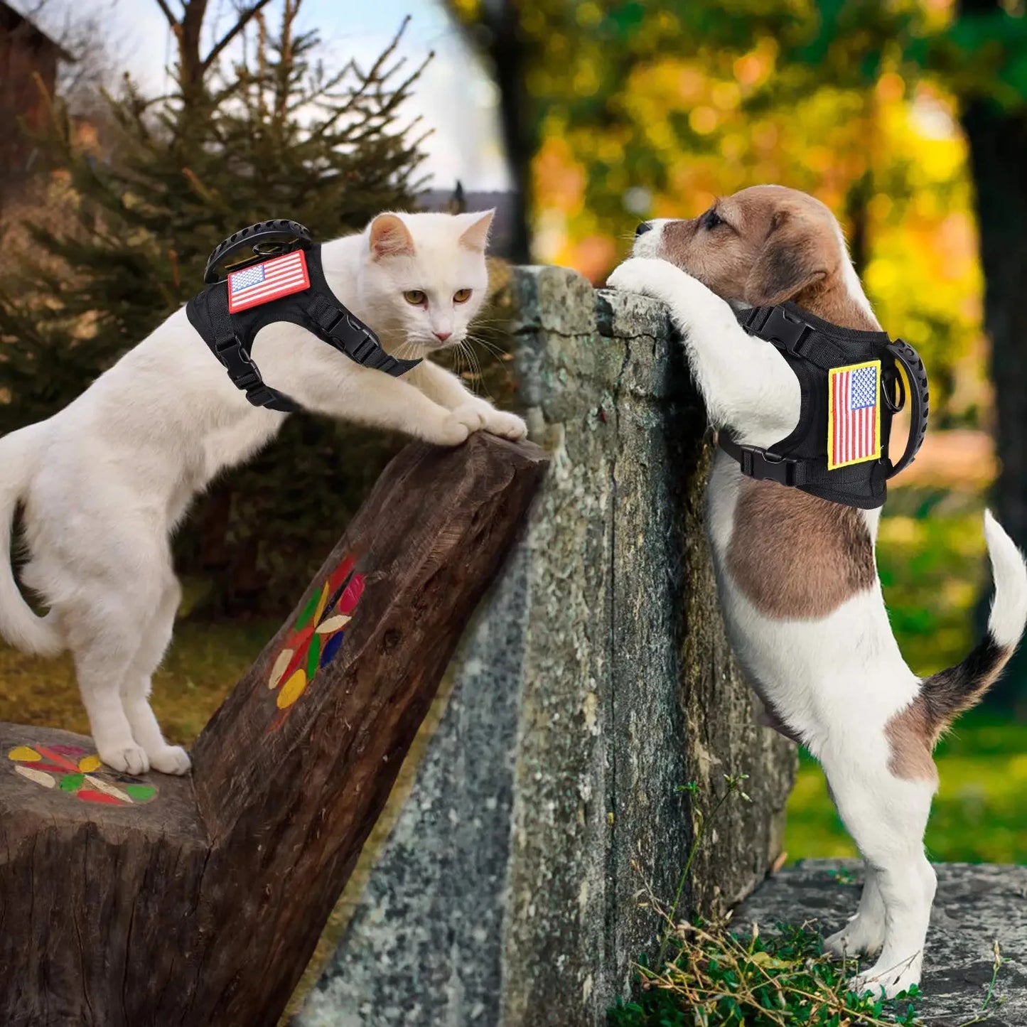 Tactical Puppy Harness And Leash Set For Small Dogs