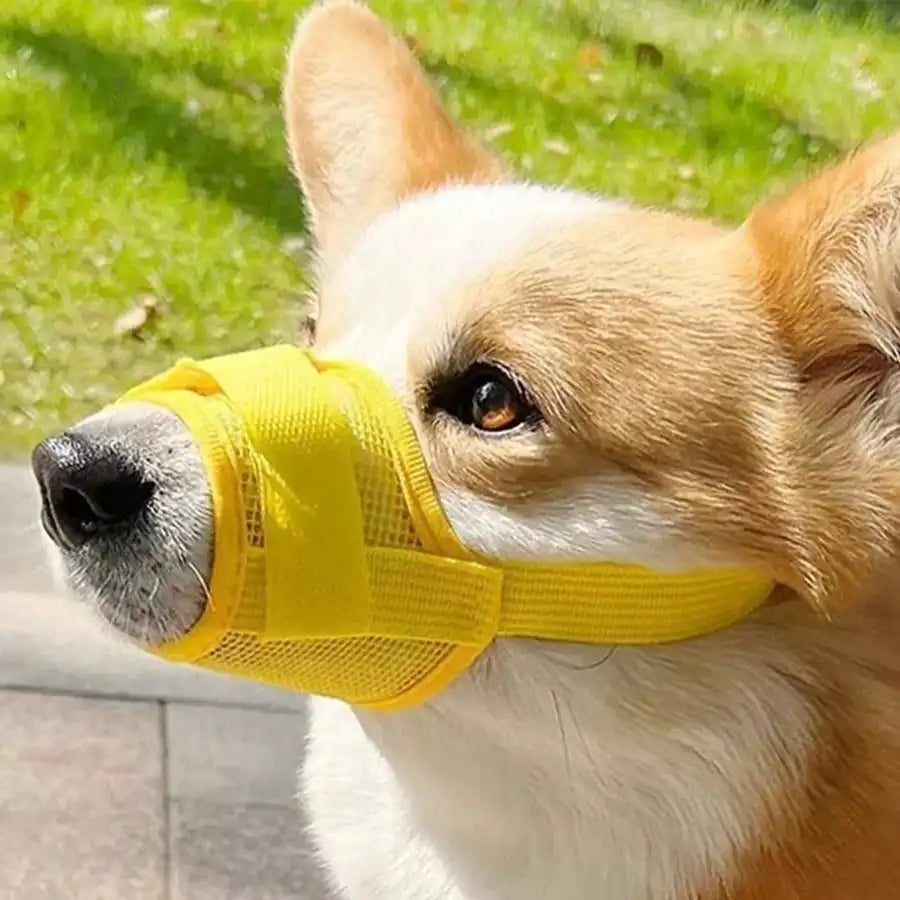 Adjustable Dog Muzzle With Breathable Mesh for All Dogs