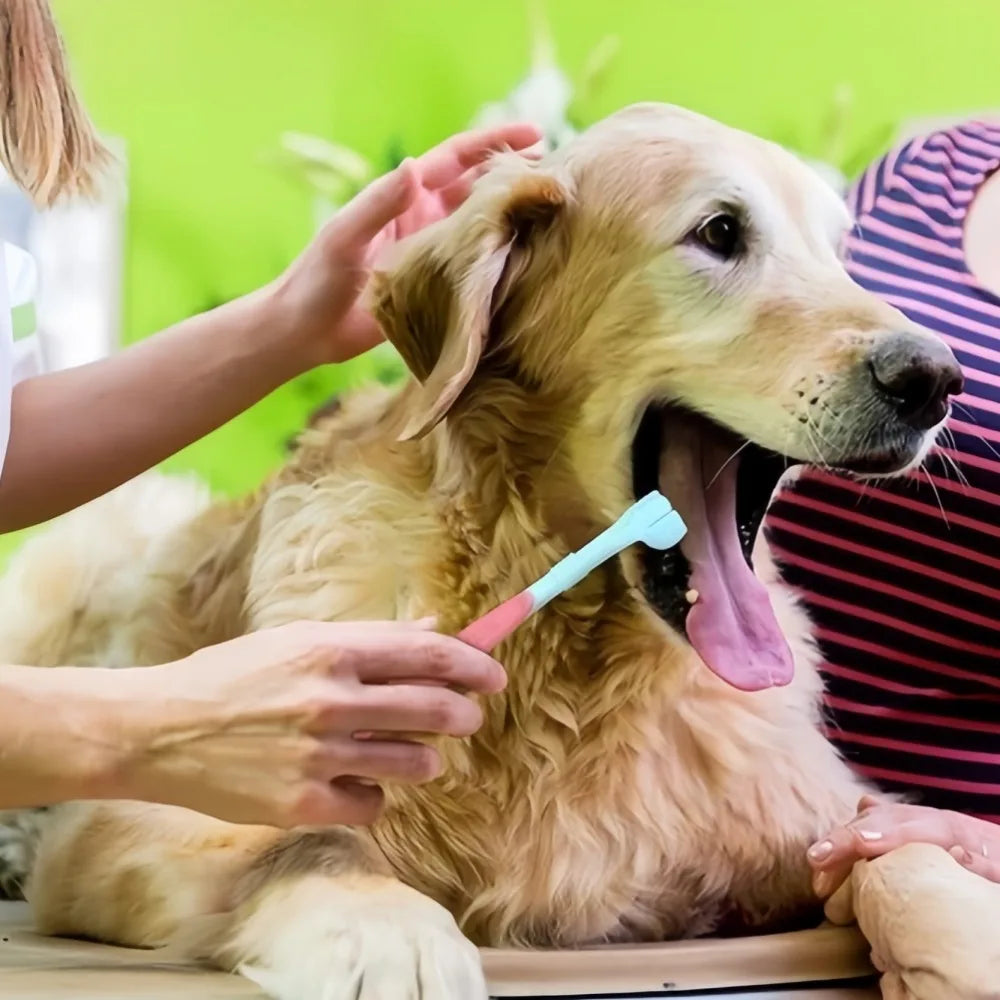 3-Sided Plastic Toothbrush For Dog And Cat Dental Cleaning