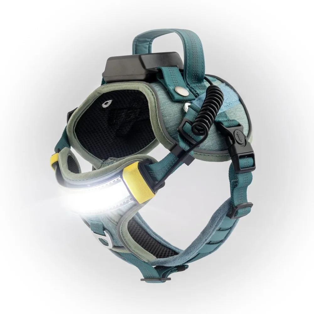 Lumi One LED Dog Harnfor Night Visibility and Safety, Patent Pending – High-Visibility Light-Up Dog