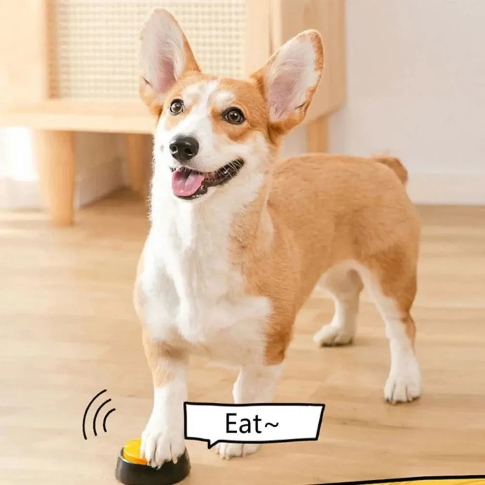 Dog Communication Buttons Voice Recording For Pet Training