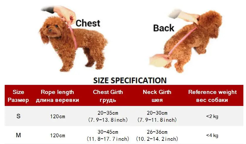 Mesh Small Dog Harness And Leash Set Floral For Puppies