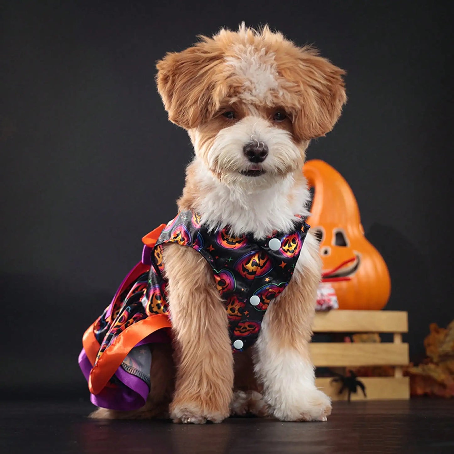 Premium Pumpkin Skull Print Bowknot Halloween Dog Dress