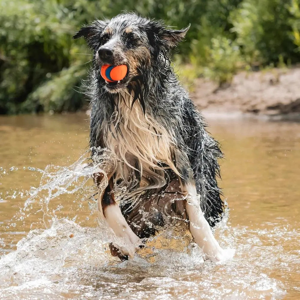 Ultra Ball Dog Toy Durable Rubber Floats Super Bouncy