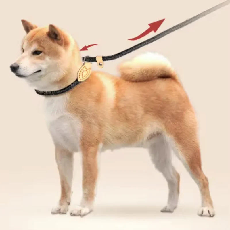 Nylon Dog Leash Slip Rope Heavy Duty Braided Training Leash