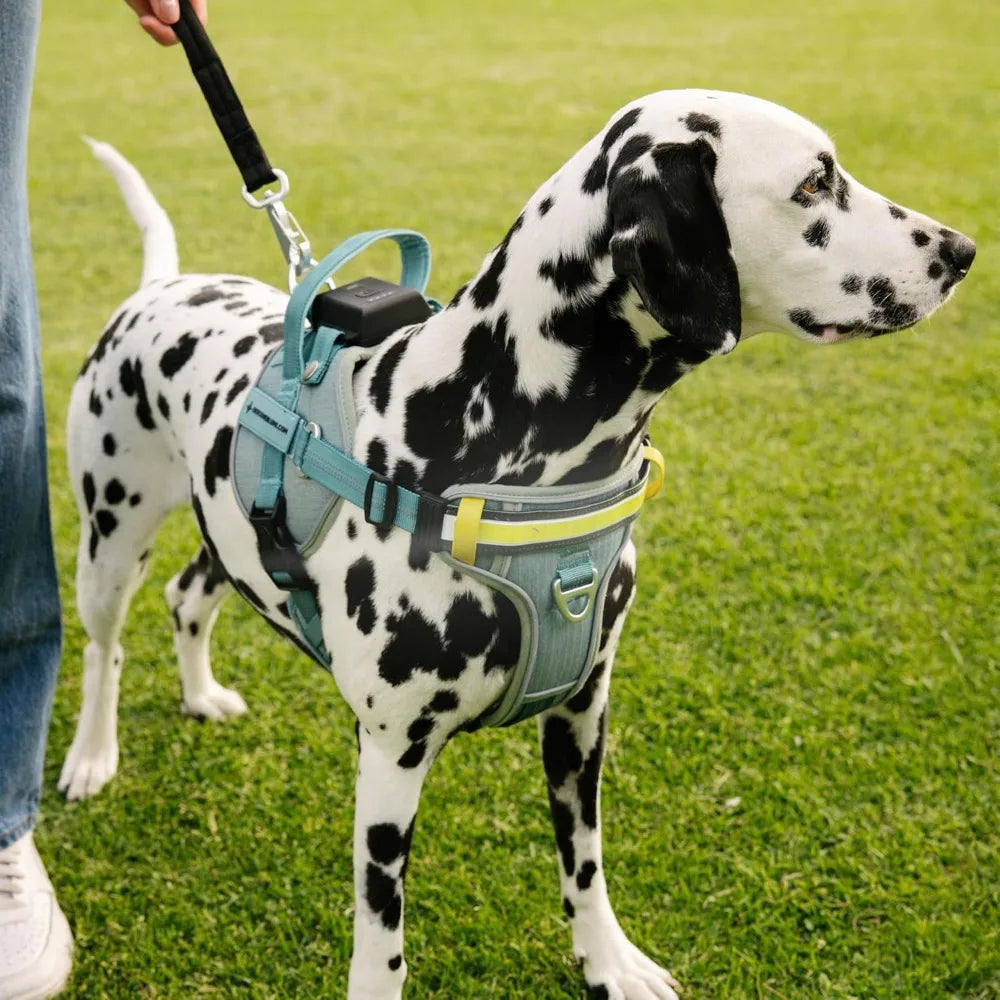 Lumi One LED Dog Harnfor Night Visibility and Safety, Patent Pending – High-Visibility Light-Up Dog