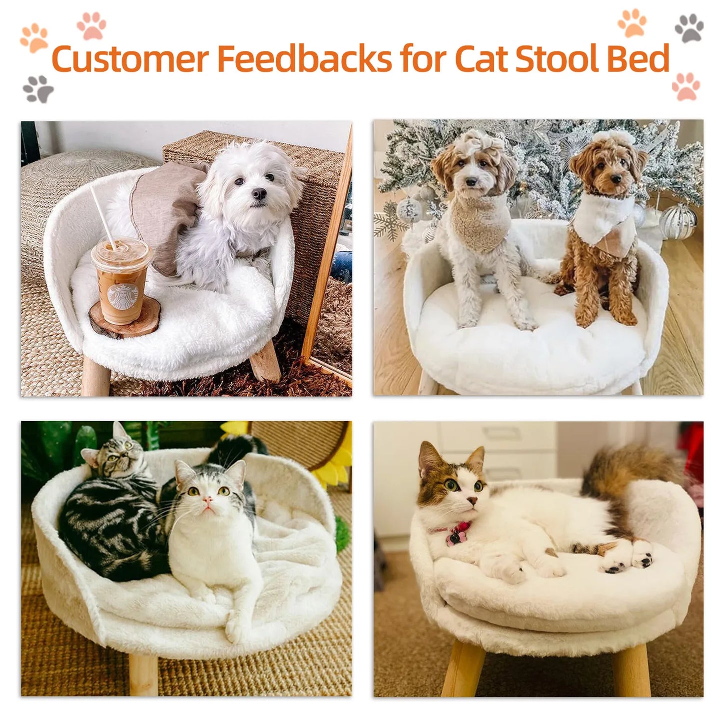 Bingopaw Pet Sofa Bed Raised Cat Chair Small Dog Couch