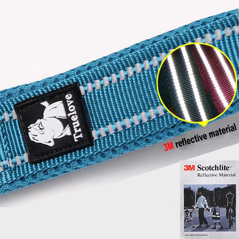 Winhyepet Padded-Handle Dog Leash for Training and Daily Walks