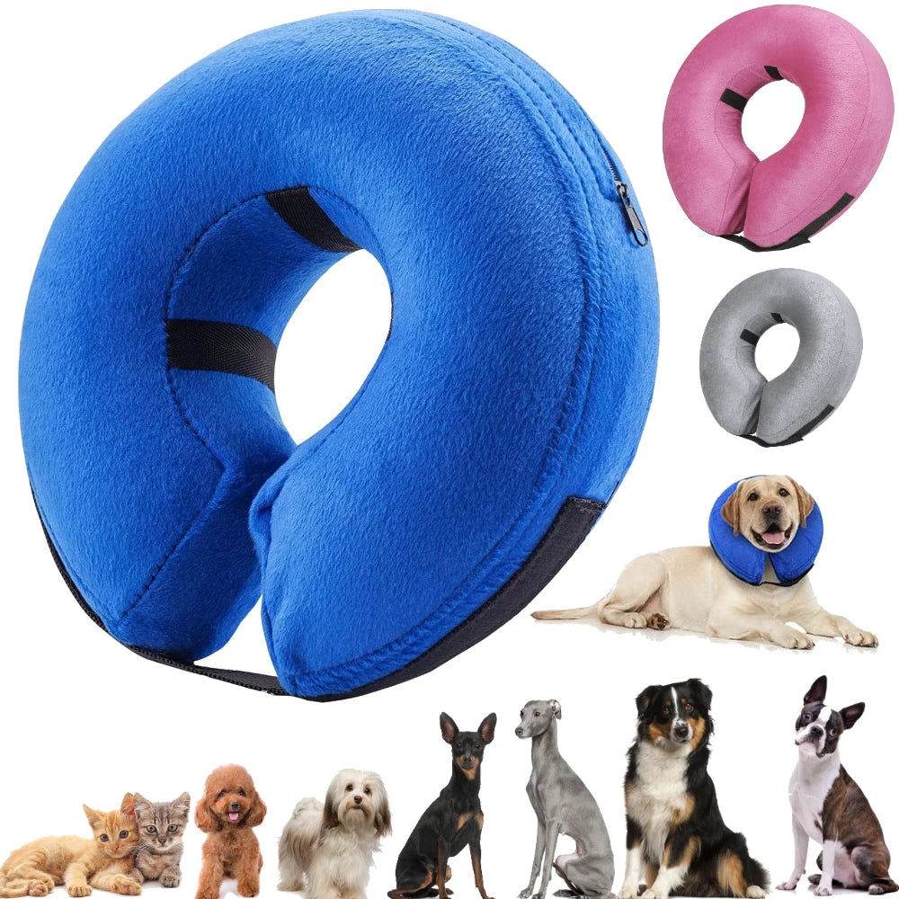 Inflatable Postoperative Pet Recovery Collar for Dogs and Cats