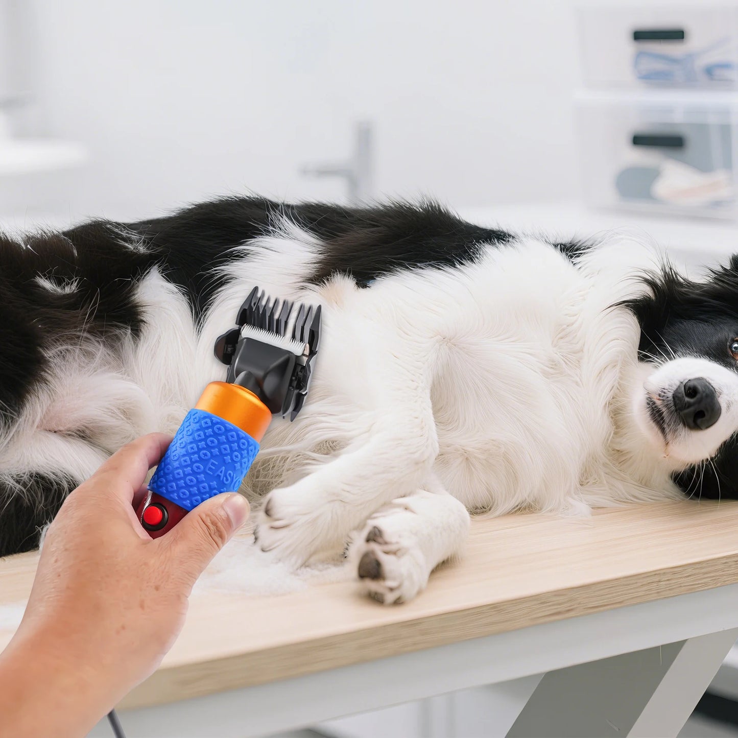 36W Professional Dog Cat Grooming Clipper Kit Accessories