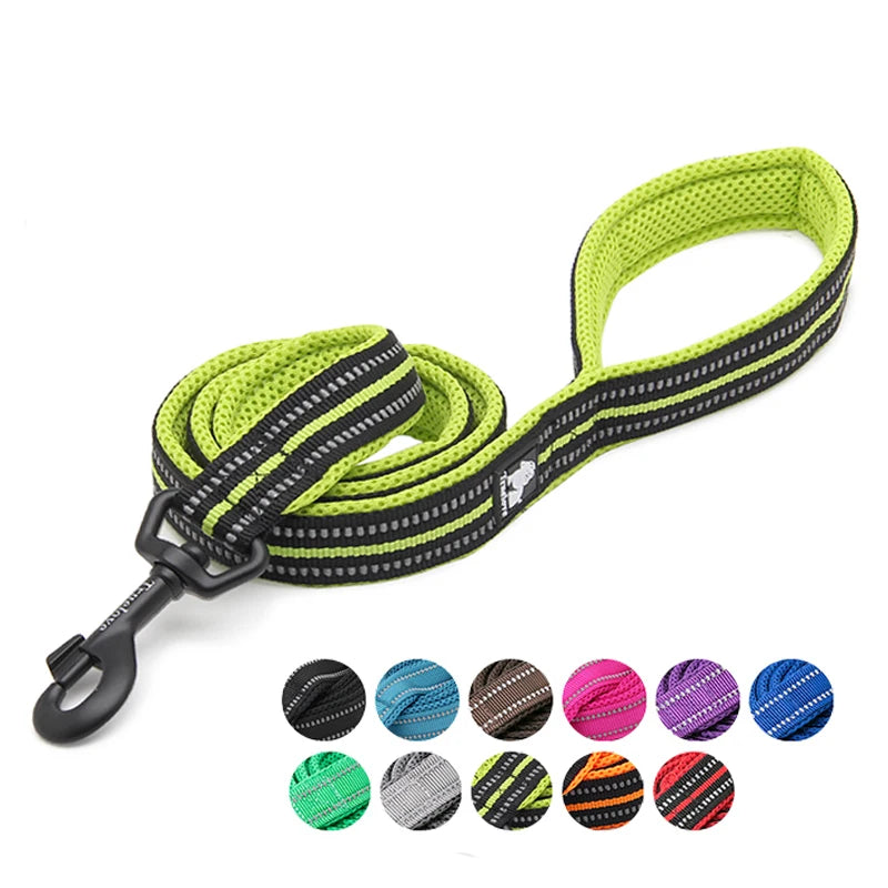 Winhyepet Padded-Handle Dog Leash for Training and Daily Walks