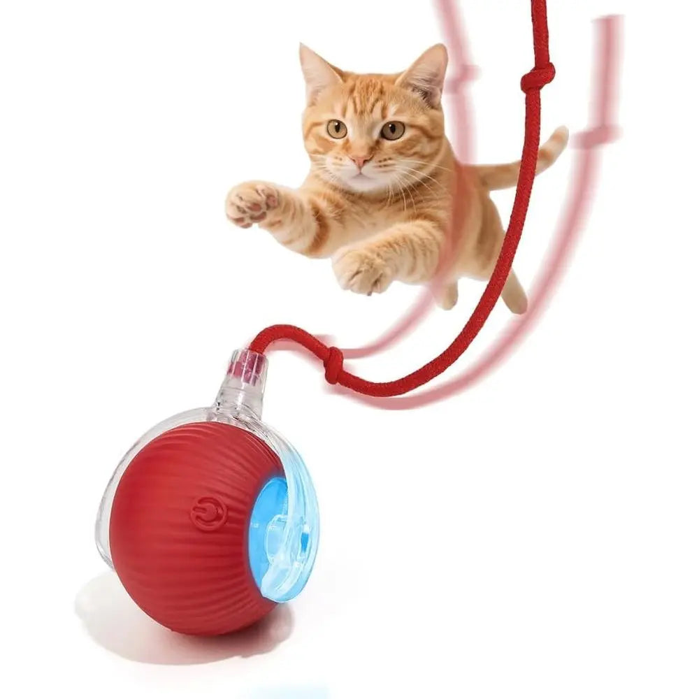 Interactive Pet Ball Toy For Dogs And Cats Rolling Ball