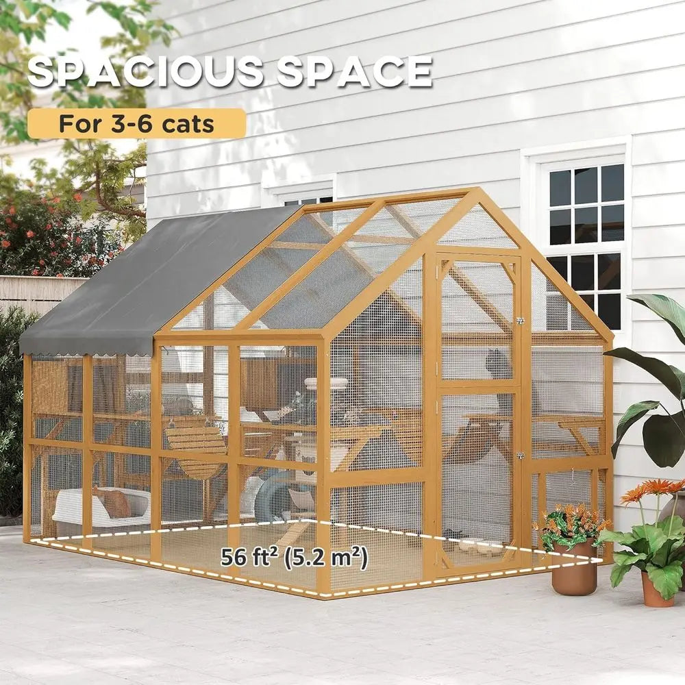 Outdoor Cat Enclosure For Multiple Cats With Walk In Access