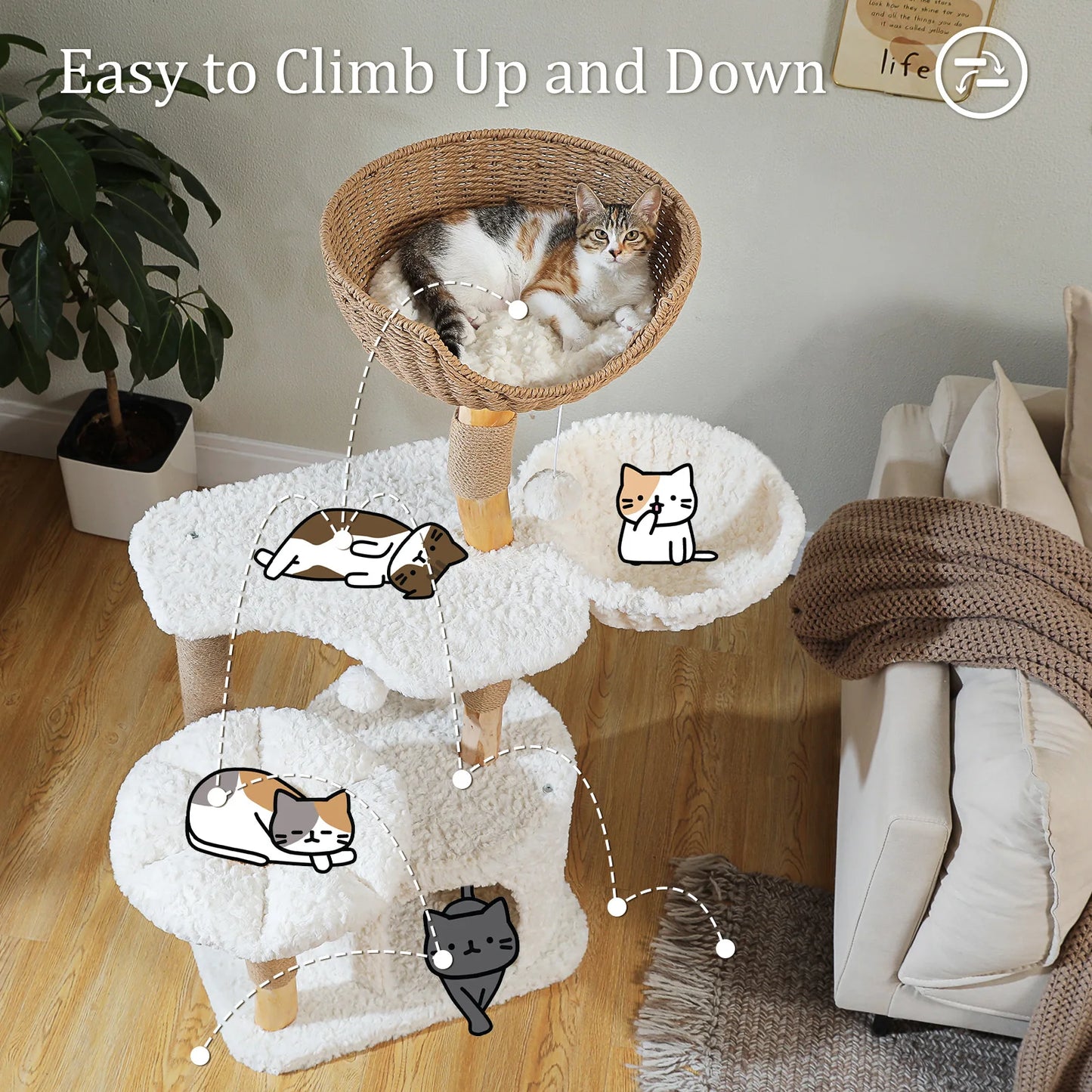 PAWZ Road Modern Solid Wood Cat Tree For Indoor Cats