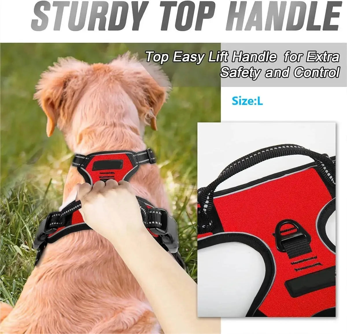 BeiYu Pet Durable Dog Vest Harness With Adjustable Straps