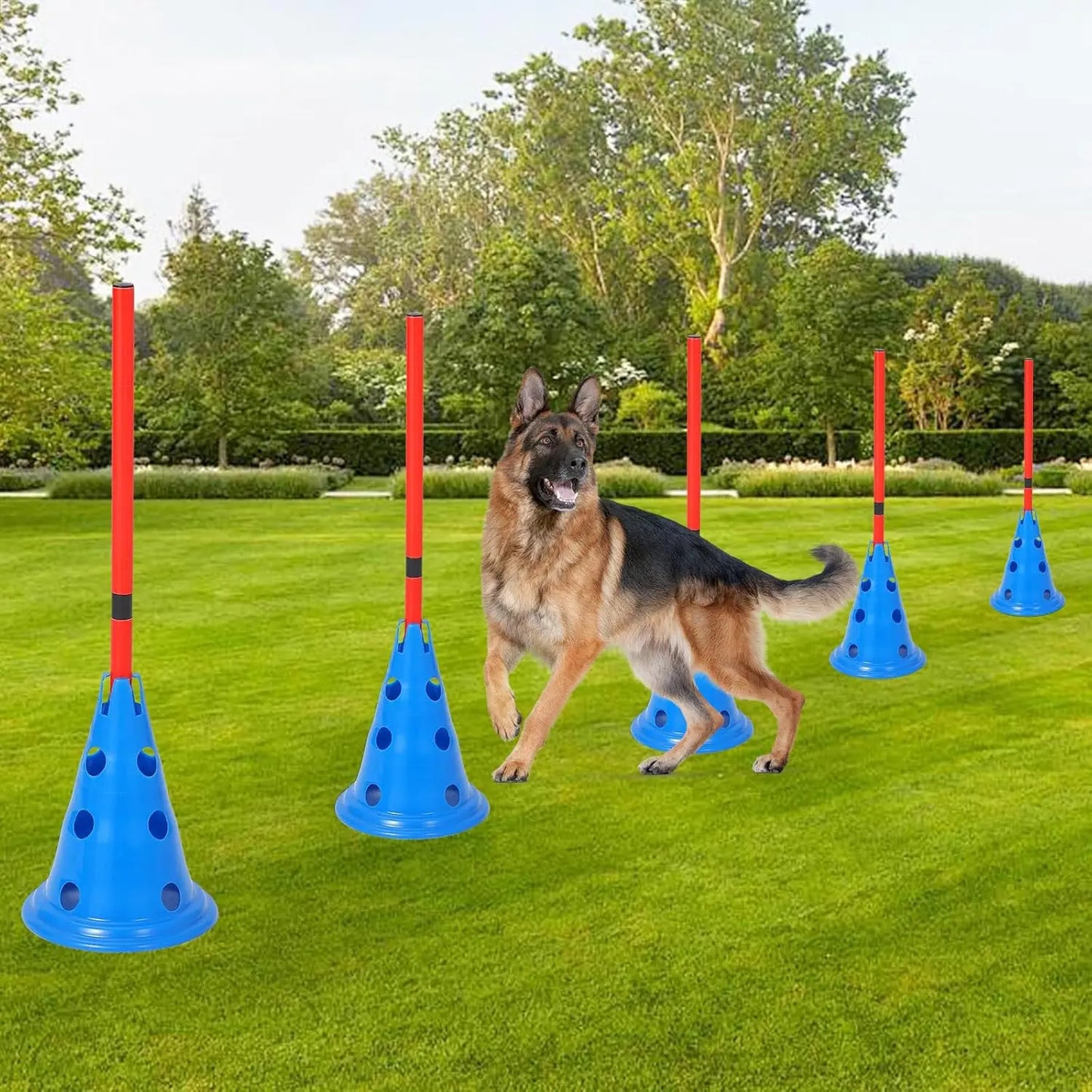 HiMISS Dog Agility Hurdle Set With 12 Cones And Rods