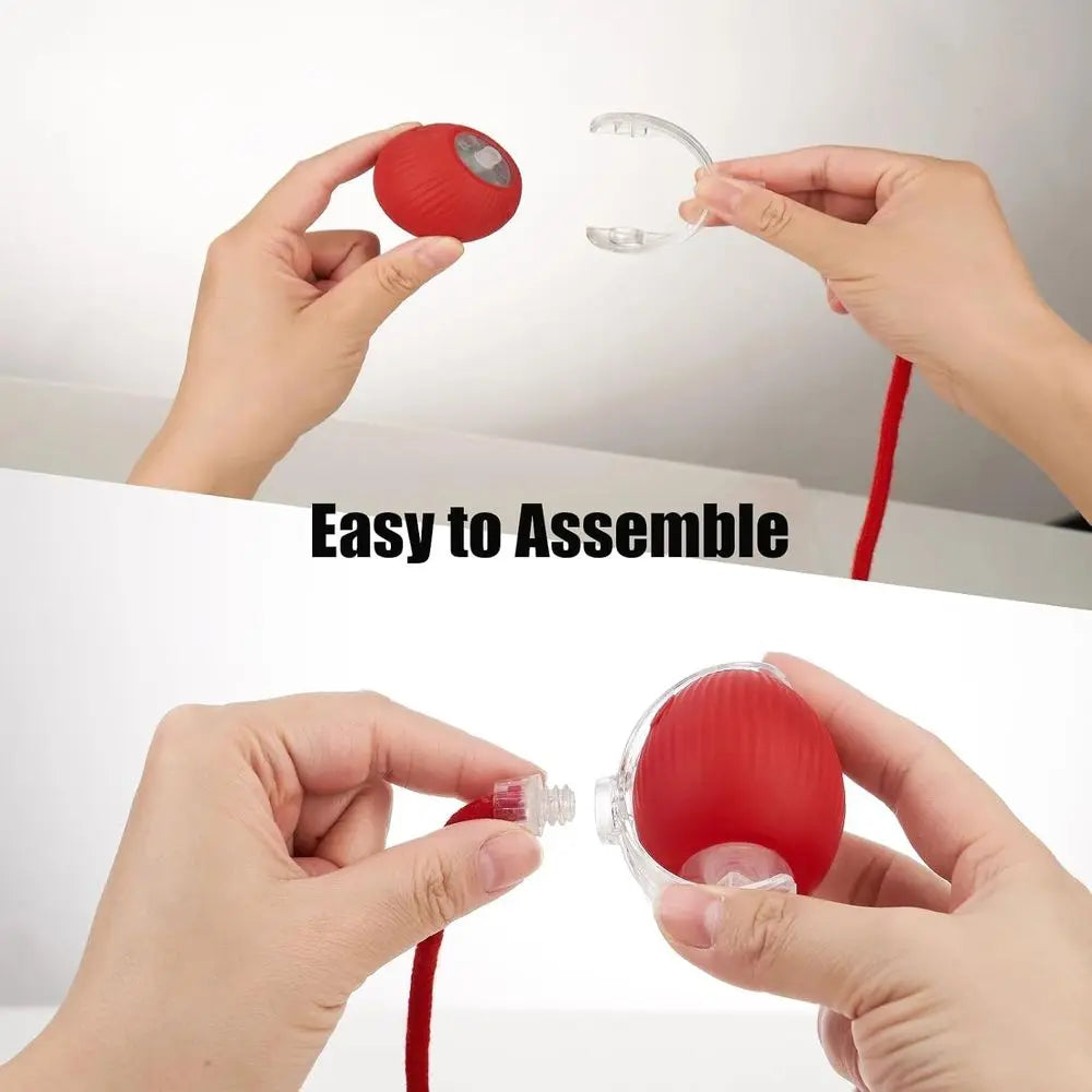 Interactive Pet Ball Toy For Dogs And Cats Rolling Ball