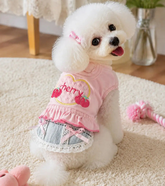 Small Dog Denim Skirt Vest Outfit Spring Pet Clothes Walking Travel Outdoor Fashion Apparel