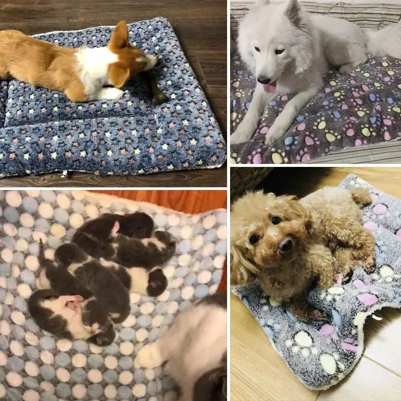 Premium Coral Fleece Pet Sleeping Mat For Dogs And Cats