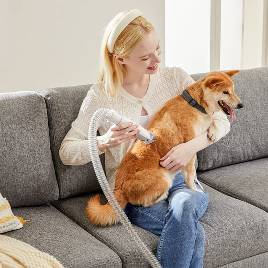 JHK Pet Grooming Vacuum Kit With Cordless Low Noise Clippers