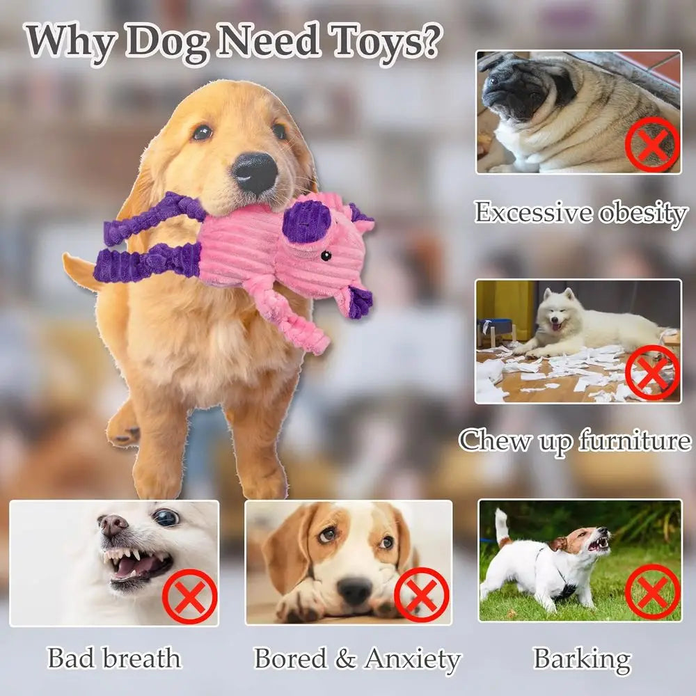 5 Pack Tough Squeaky Plush Dog Toys Assorted Bundle