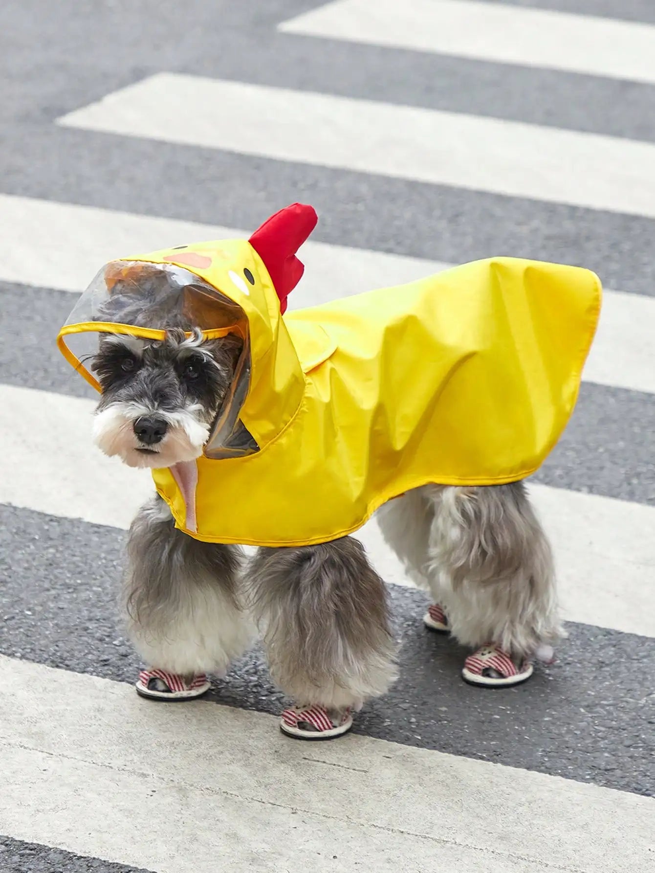 PETSIN Hooded Cartoon Bear Pet Raincoat For Dog And Cat