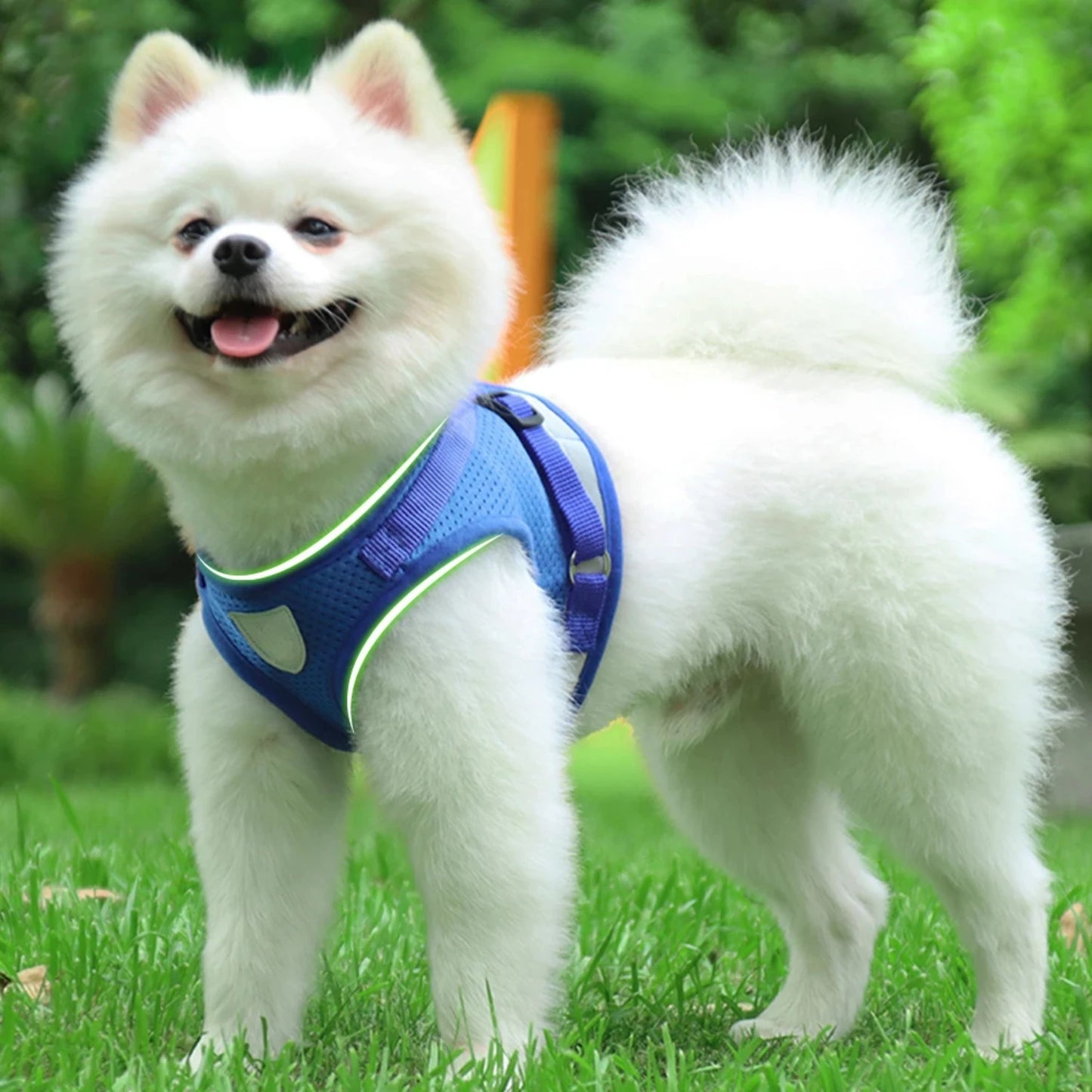 Reflective Adjustable Dog Harness With Leash And Vest Set