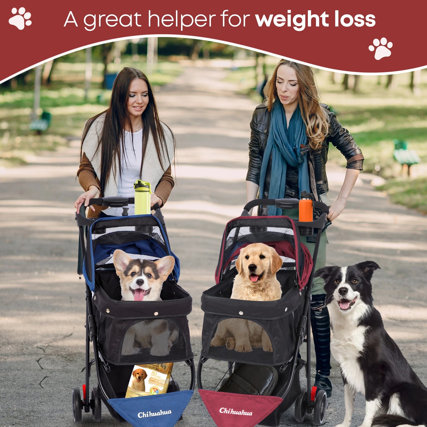 Chihuahua Pet Stroller For Cats And Dogs Foldable 3 Wheels Mesh Canopy