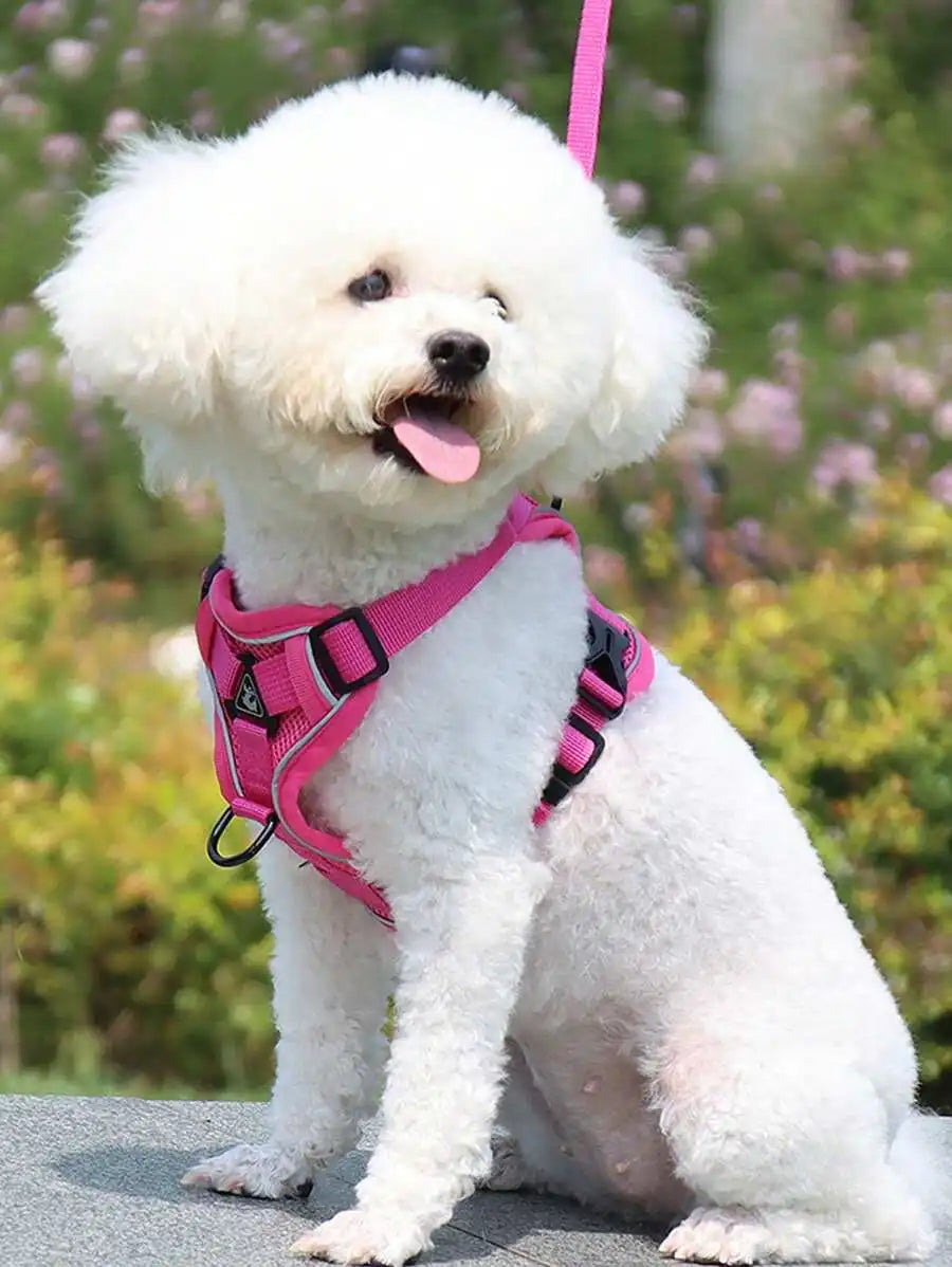 Reflective Pet Harness And Leash Set For Dogs And Cats