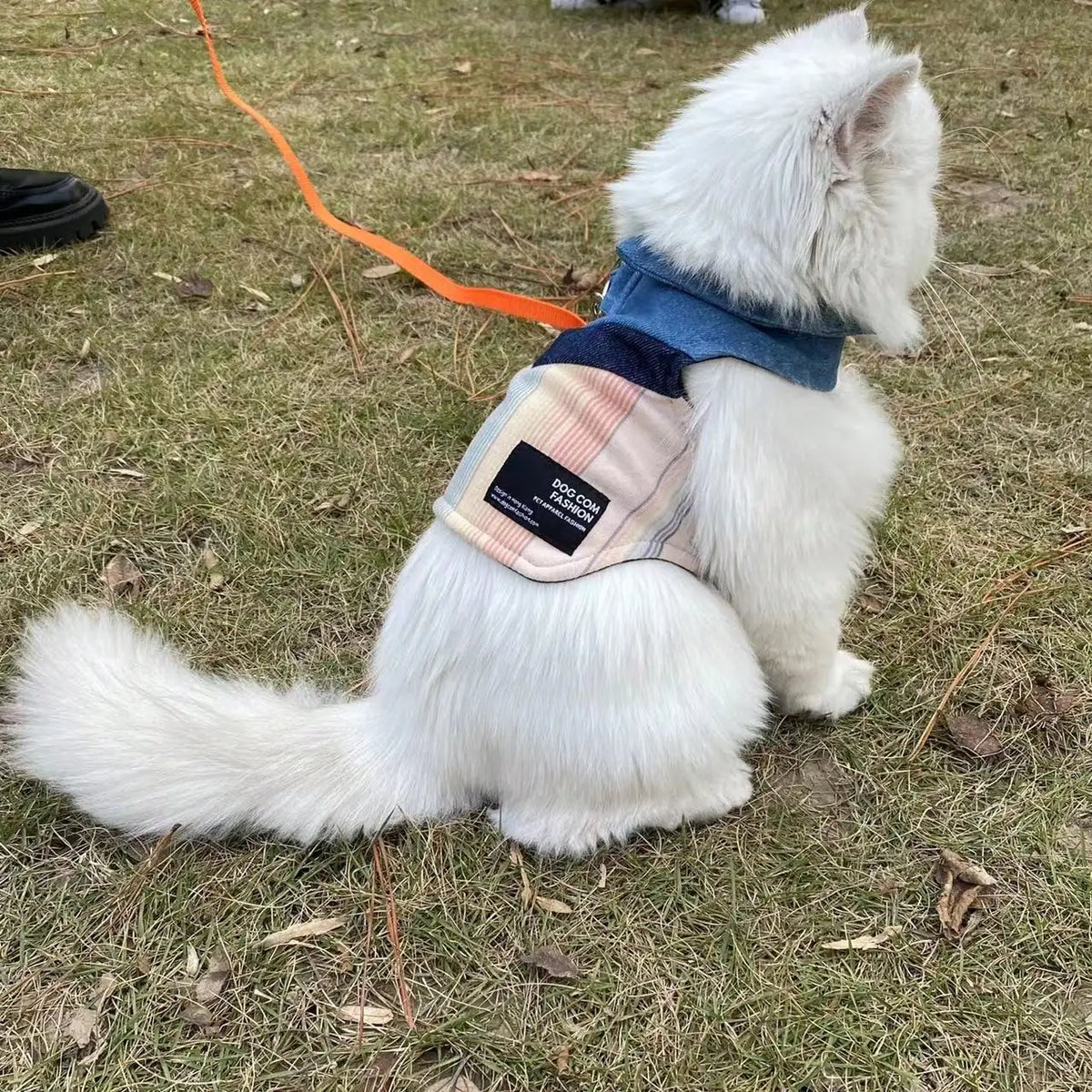 Lightweight Breathable Denim Collar Vest for Dogs and Cats