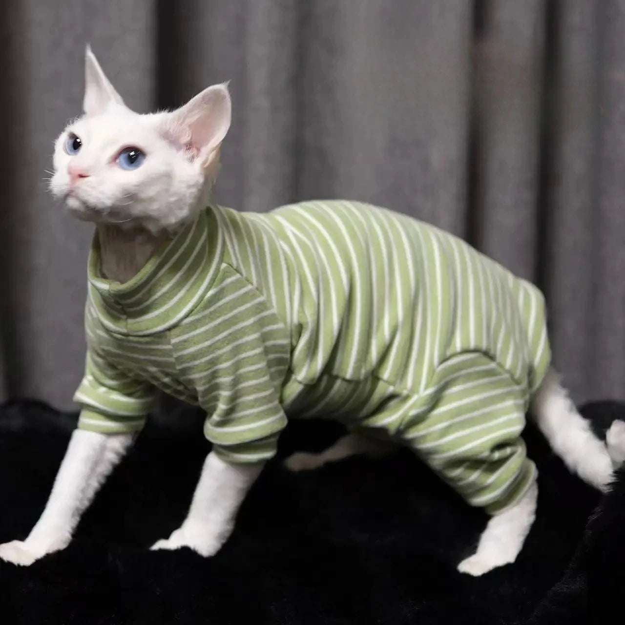 Elastic Warm Sphynx Cat Full Body Comfortable Pet Clothing