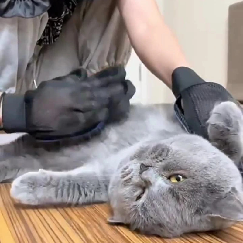 Silicone Pet Grooming Gloves For Cats And Dogs Hair Removal