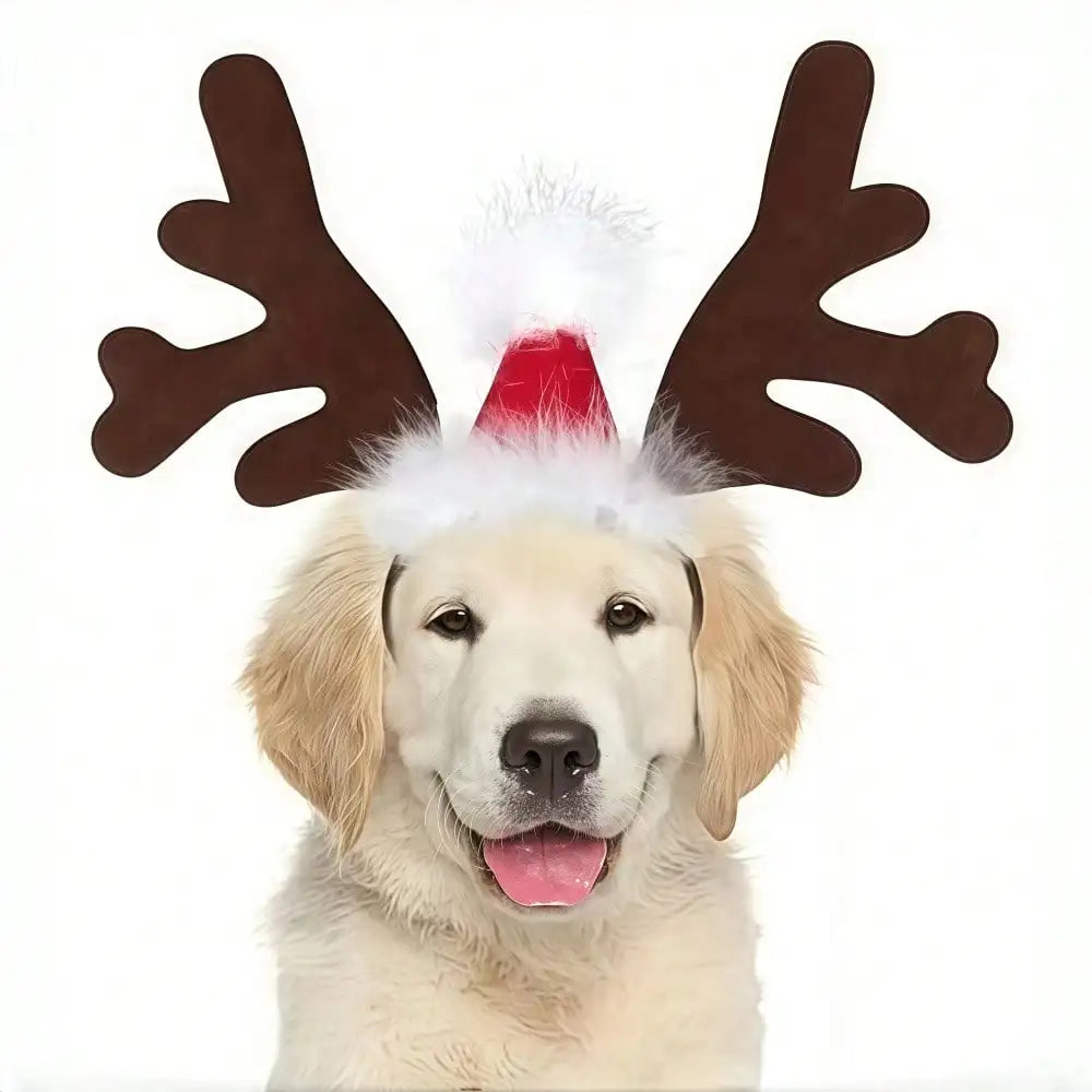 Halloween Ghost Pet Cape Reindeer Antlers Headband Set