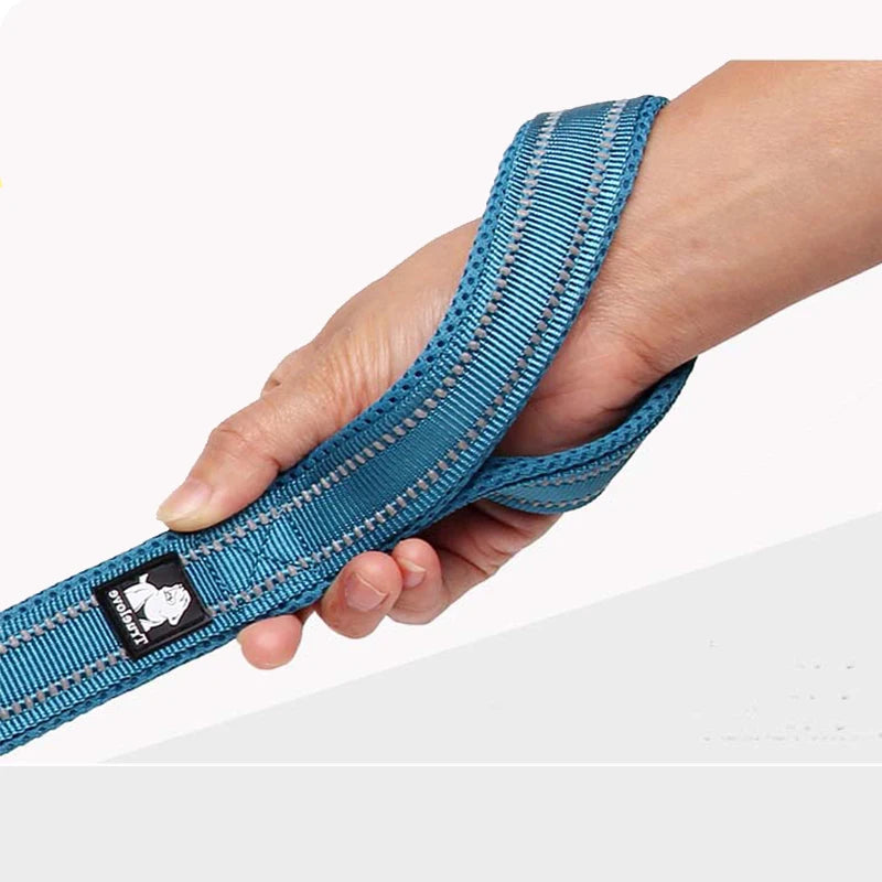 Winhyepet Padded-Handle Dog Leash for Training and Daily Walks